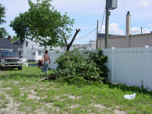 ./Gallery/2011 Bennet Lot Tree Removal/DSC06458.JPG